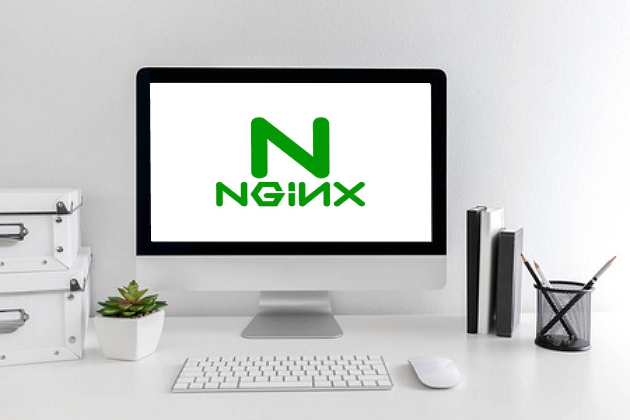 什么是Nginx服务器，它有那些常用的功能特点呢？