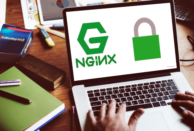 如何搭建和配置Nginx服务器，有那些详细步骤？